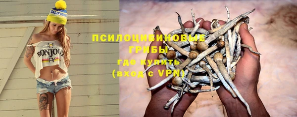 mdpv Белокуриха