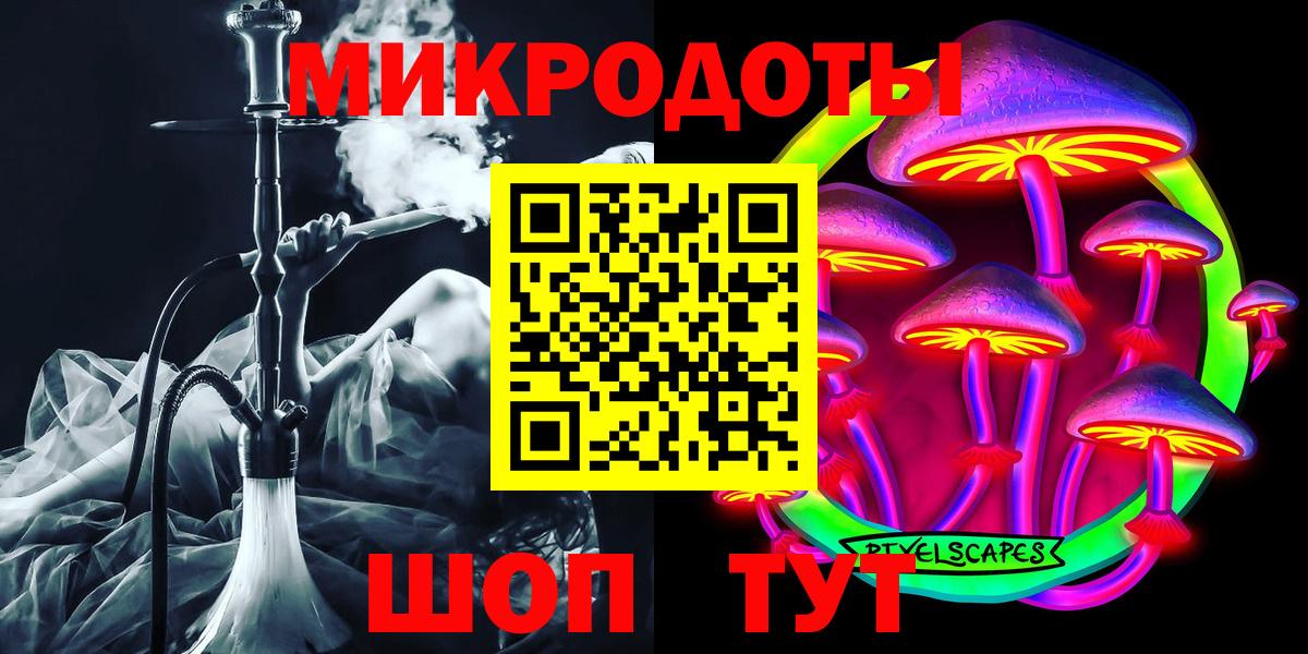 Псилоцибиновые грибы прущие грибы Великие Луки